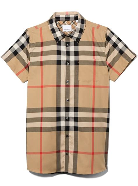 burberry shirts.|More.